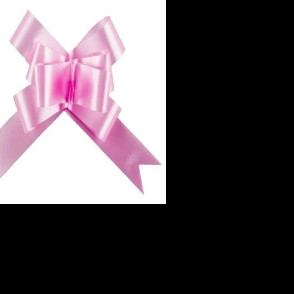 MOÑO CELOMAG. GIG. ROSA MEXICANO JANEL CAJA C50 C.12